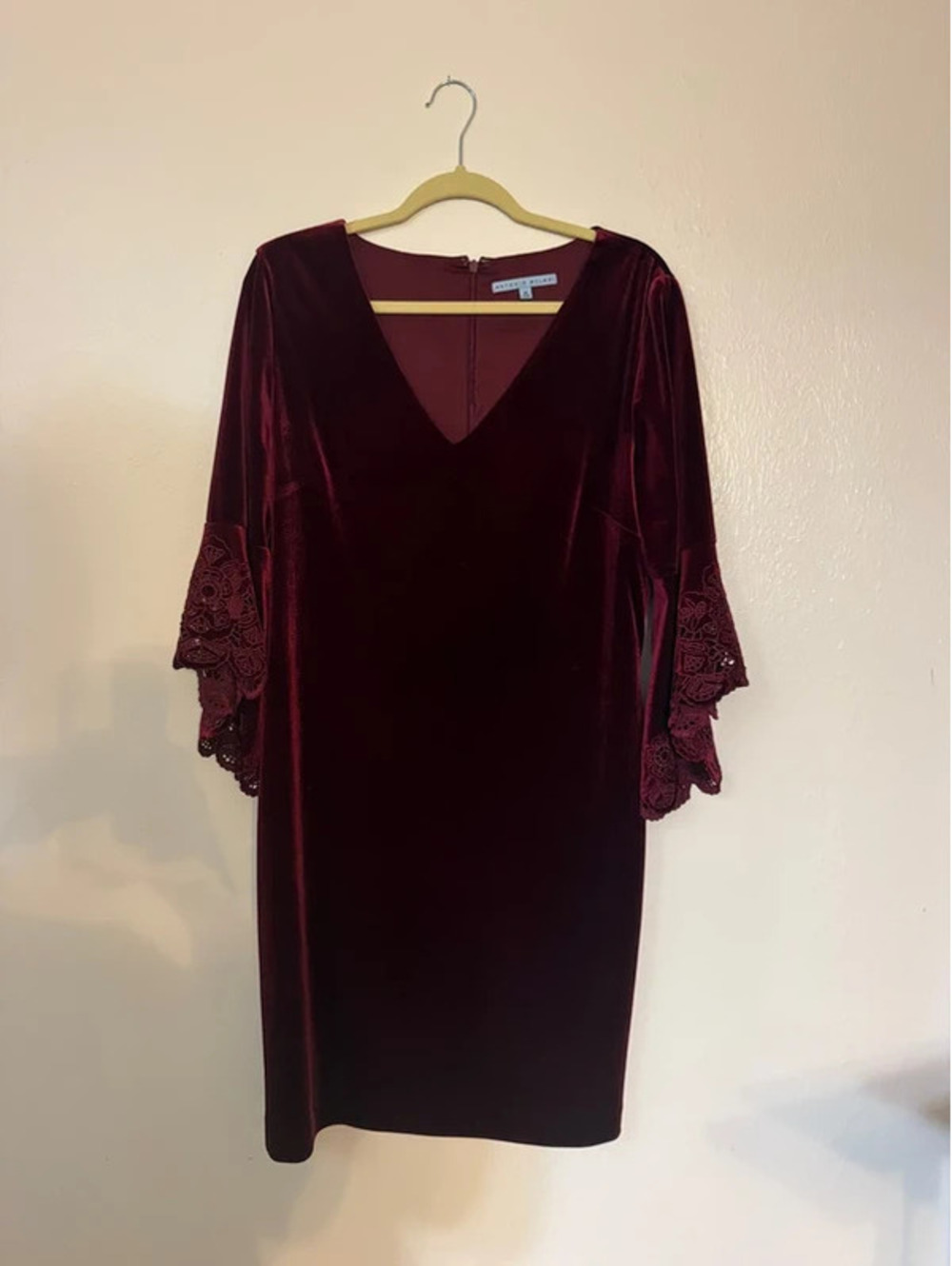 Antonio Melani Burgundy Velvet Dress